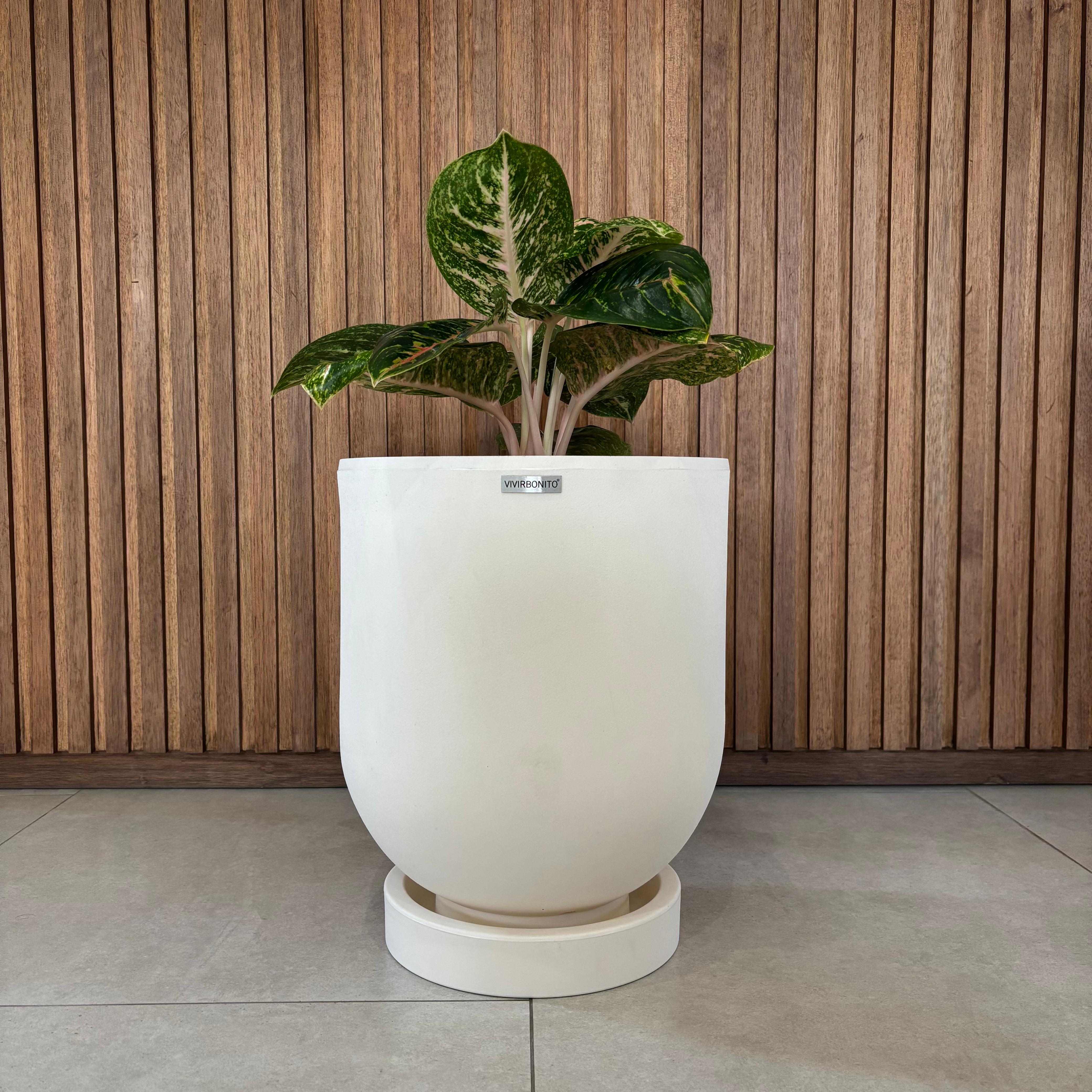 Maceta Cylindro - Vainilla